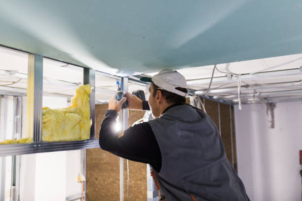 Best Commercial Insulation in Nokomis, FL