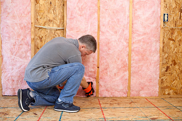 Best Eco-Friendly Insulation in Nokomis, FL