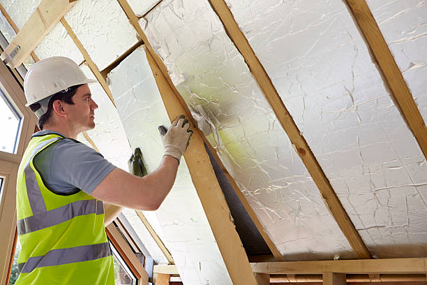 Best Residential Insulation in Nokomis, FL