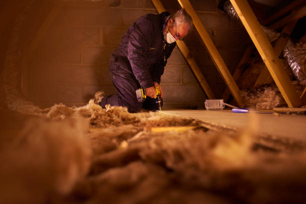 Best Cellulose Insulation in Nokomis, FL